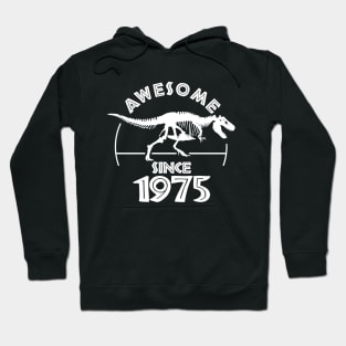 Awesome Since 1975 Hoodie